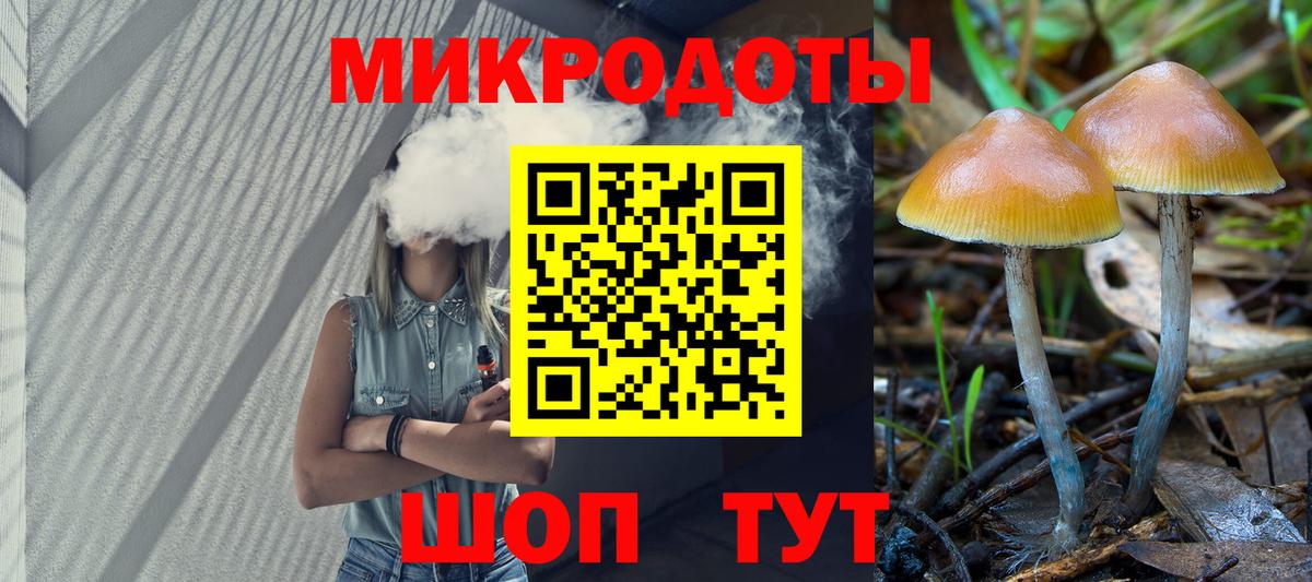 Вязьма  Псилоцибиновые грибы мухоморы  Вход с VPN  Псилоцибиновые грибы Cubensis 